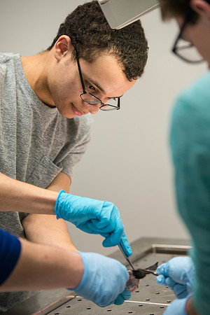Animal Anatomy and Physiology Lab taught by Zeph Quirl.