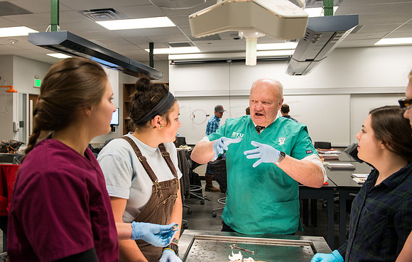 Animal Anatomy and Physiology Lab taught by Zeph Quirl.