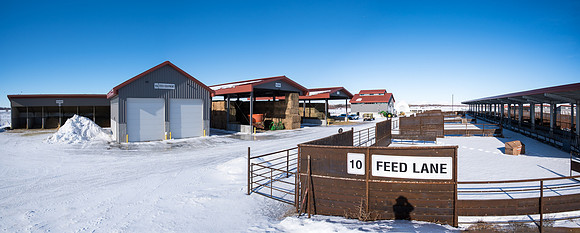 What used to be known as the Livestock Center will be ranamed the Agriculture Science Center at the dedication of the facility with it's several new buildings.