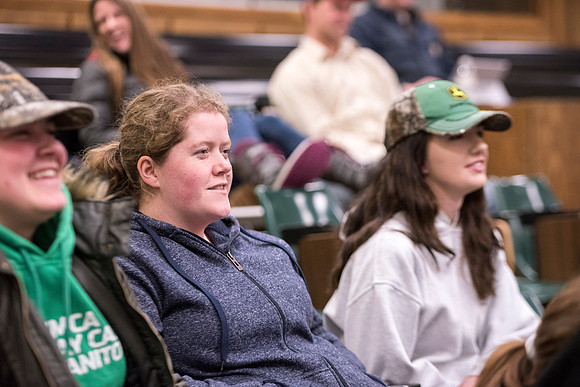 Students at BYU-Idaho work with the cattle at the Livestock Center by training the cattle to go where the students need them to go.