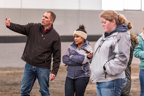 Students at BYU-Idaho work with the cattle at the Livestock Center by training the cattle to go where the students need them to go.