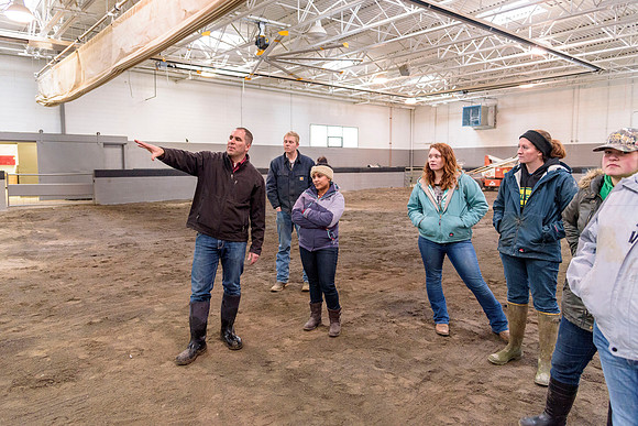 Students at BYU-Idaho work with the cattle at the Livestock Center by training the cattle to go where the students need them to go.