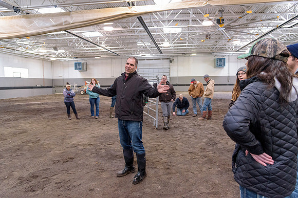 Students at BYU-Idaho work with the cattle at the Livestock Center by training the cattle to go where the students need them to go.