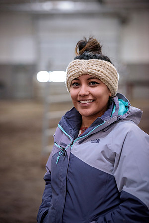 Students at BYU-Idaho work with the cattle at the Livestock Center by training the cattle to go where the students need them to go.