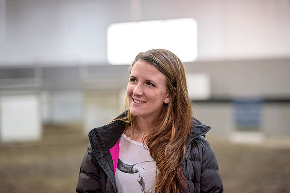 Students at BYU-Idaho work with the cattle at the Livestock Center by training the cattle to go where the students need them to go.