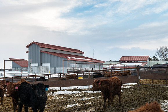 New buildings and new name for the former Livestock Center.
