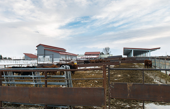 New buildings and new name for the former Livestock Center.