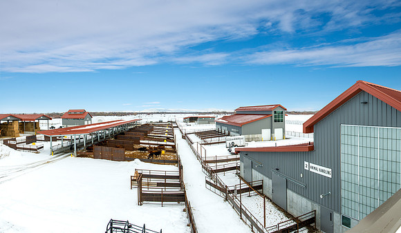 New buildings and new name for the former Livestock Center.