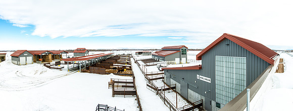 New buildings and new name for the former Livestock Center.