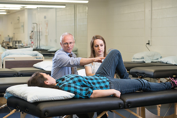 Lynn Perkes teaches Physical Therapy Lab.