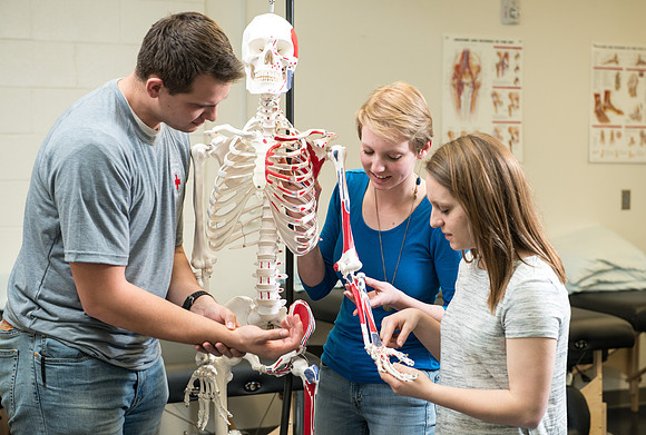 Physical Therapy Lab