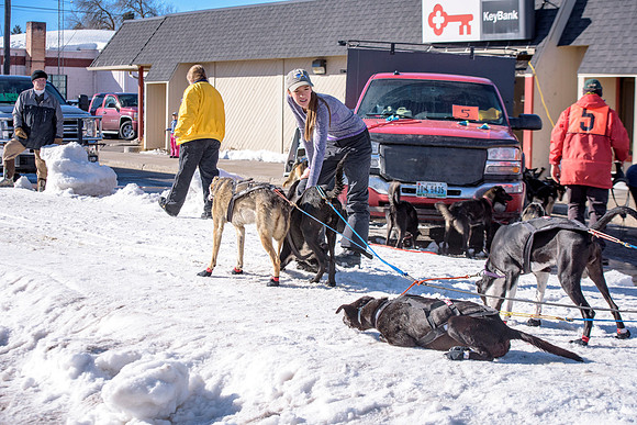 The centennial race of Ashton, Idaho's dog sledding race.