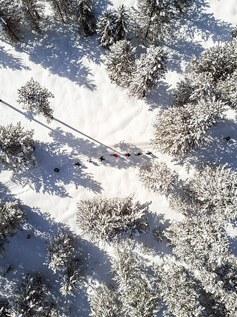 Students go snowshoeing at Harriman Park, located in Island Park, Idaho