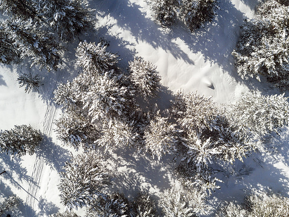 Students go snowshoeing at Harriman Park, located in Island Park, Idaho