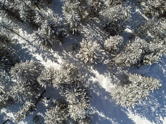 Students go snowshoeing at Harriman Park, located in Island Park, Idaho
