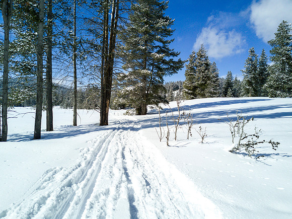 Students go snowshoeing at Harriman Park, located in Island Park, Idaho