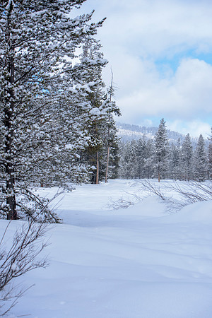 Students go snowshoeing at Harriman Park, located in Island Park, Idaho