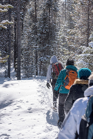 Students go snowshoeing at Harriman Park, located in Island Park, Idaho
