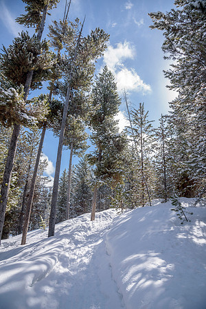 Students go snowshoeing at Harriman Park, located in Island Park, Idaho