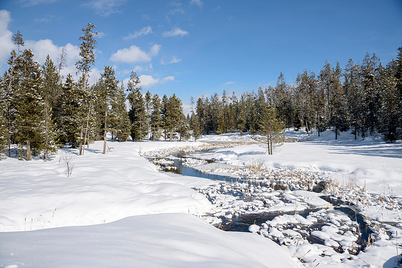 Students go snowshoeing at Harriman Park, located in Island Park, Idaho
