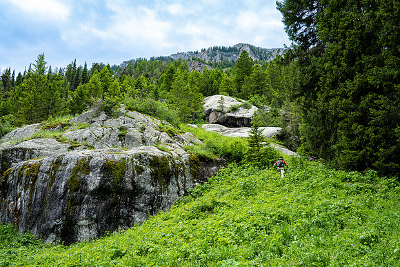 Teton Canyon - July 2023