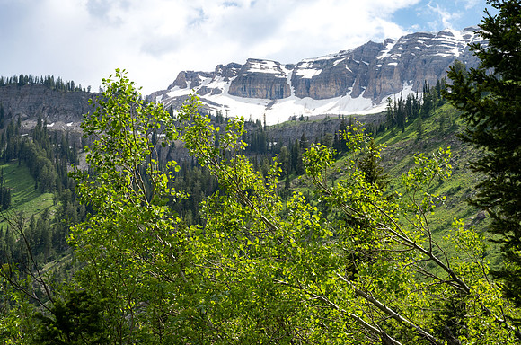 Teton Canyon - July 2023
