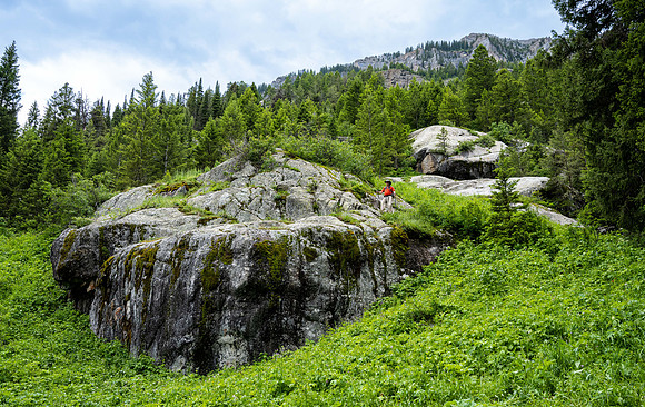 Teton Canyon - July 2023