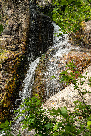 Teton Canyon - July 2023