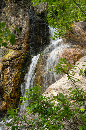 Teton Canyon - July 2023