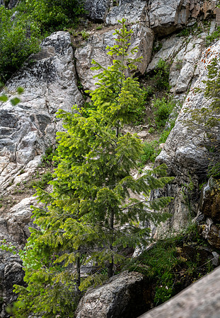 Teton Canyon - July 2023