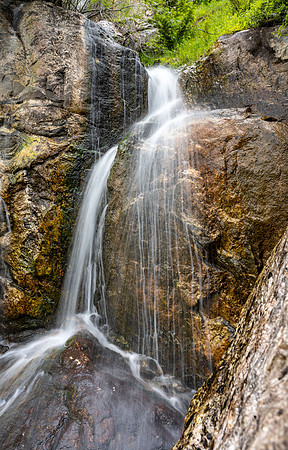Teton Canyon - July 2023