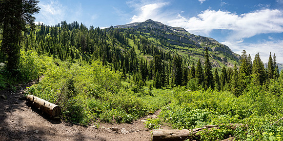 Teton Canyon - July 2023