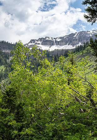 Teton Canyon - July 2023