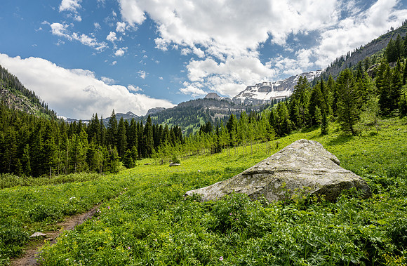 Teton Canyon - July 2023