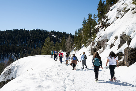 Snowshoeing at Bear Gulch - Mar 2025
