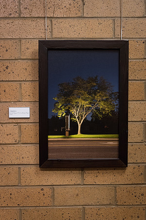 Tyson Nield presents his photography project "Enduring the Darkness"