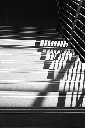 Do you recognize light and shadow during your day?