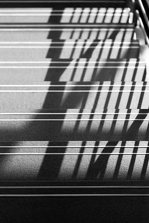 Do you recognize light and shadow during your day?