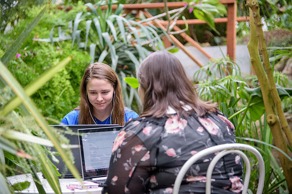 Students studying in the greenhouse, located at the Benson.