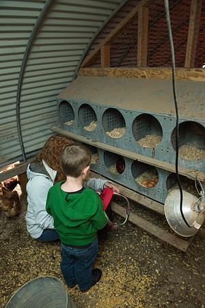 Karen Peacock, gathering chicken eggs with her grandson.