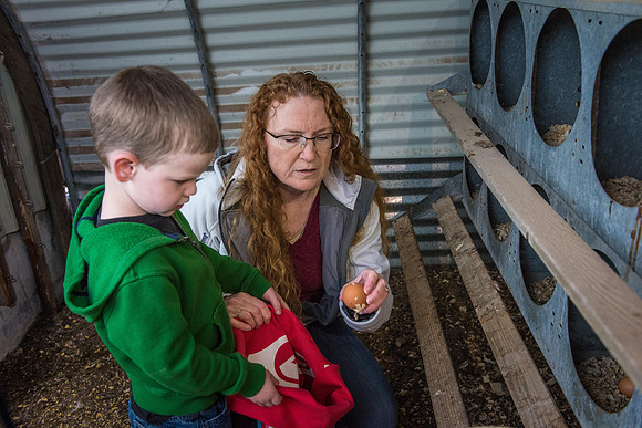 Karen Peacock, gathering chicken eggs with her grandson.