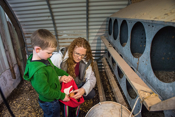Karen Peacock, gathering chicken eggs with her grandson.