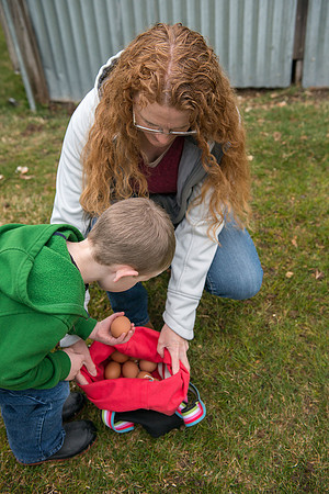 Karen Peacock, gathering chicken eggs with her grandson.