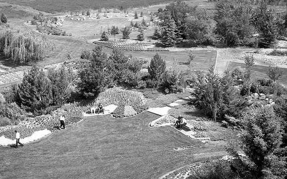 Landscape Horticulture Department