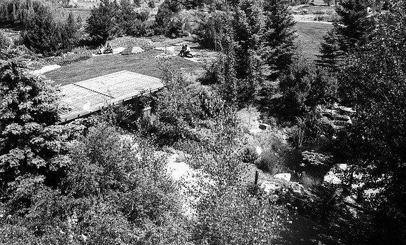 Landscape Horticulture Department