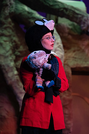 The Wind in the Willows - Feb 2020