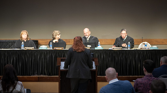Idaho Supreme Court - November 2024