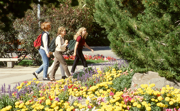 Ricks College