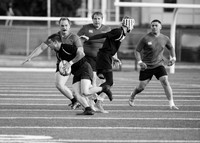 Rugby Championships.