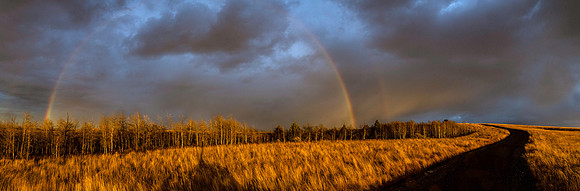Beautiful evening light captured in the hills East of Rexburg, Idaho.